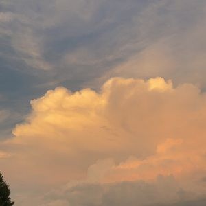 Meet your Posher, Jessie